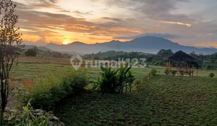 Kavling SHM Viral Garden Hills Bonus Logam Mulia  7