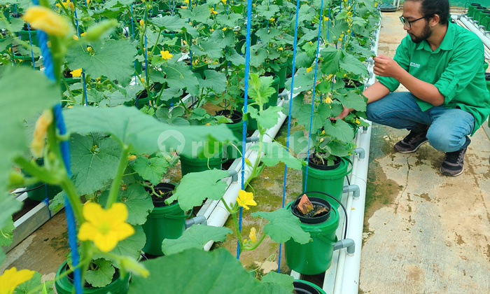 Kavling Viral Granada Land Diskon Special 11
