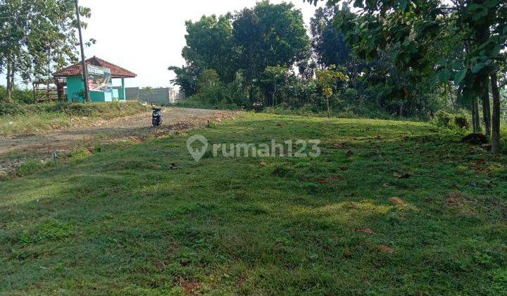 Kavling Terdekat Dari Jakarta Hanya Rp. 65 Jt 100m2 6