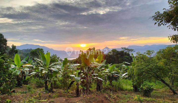 Kavling SHM 100 M2 Hanya Rp. 50 Jt Bonus Logam Mulia 5