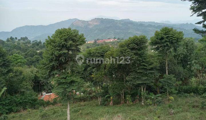 Rumah Kebun 1 Hektar di Puncak Dua Bogor Timur 3