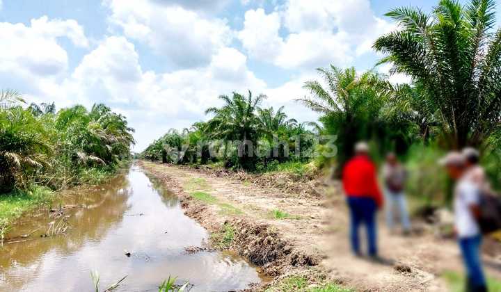 Dijual Lahan Strategis Dengan Harga Murah Di Daerah Bekasi 9