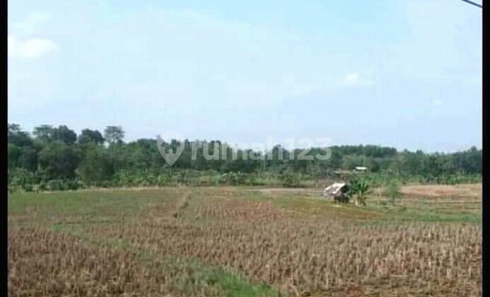 Dijual Gudang Ex Pabrik Dengan Lokasi Strategis Di Subang  2