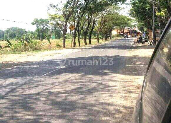Dijual Gudang Ex Pabrik Dengan Lokasi Strategis Di Subang  6
