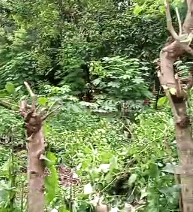 Dijual Kavling Dengan Harga Murah Dan Lokasi Strategis Daerah Tambun Selatan 12