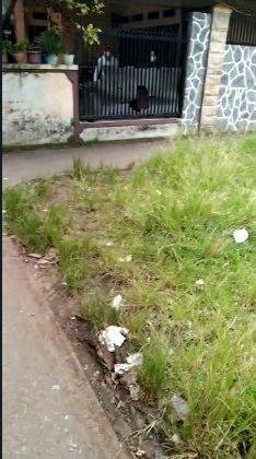 Di Jual Tanah 1 Hektar Lebih di Tambun Selatan  1