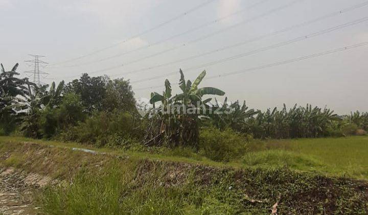 Dijual Tanah 15 Ha di Sukamekar Tambun Utara 4