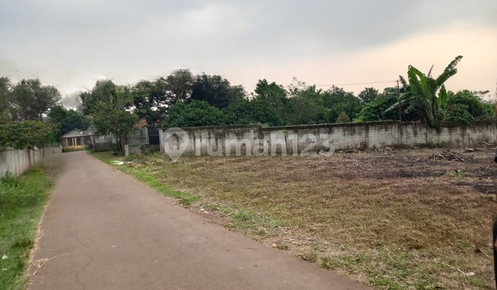 Tanah Bogor Murah Sasak Panjang Tajur Halang Free SHM