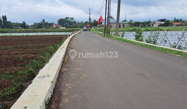 Kavling Bogor Murah 10 Menit Kampus Ipb Cicil 12x Tanpa Bunga 1