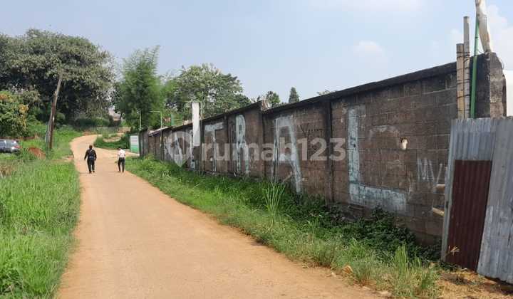 Tanah Murah Tajur Halang 10 Menit Jl.raya Parung Bogor Tanah Murah Tajur Halang 10 Menit Jl.raya Parung Bogor