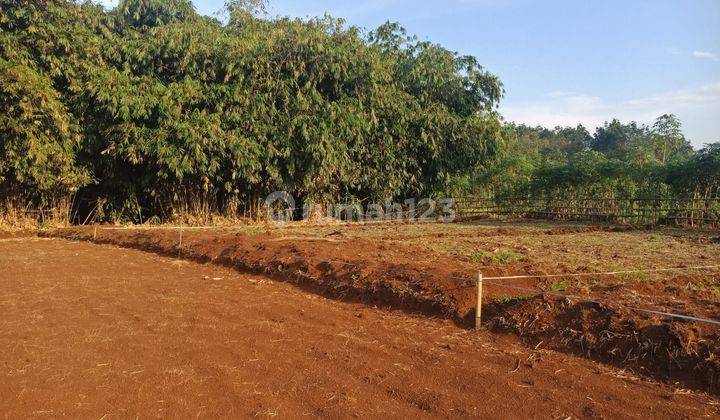 Tanah Bogor Murah 900 Ribu an m2 Dekat Pusdiklat Bela Negara 1