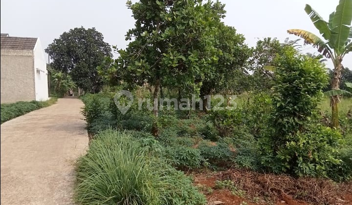 Tanah, SHM, Dekat Sekolah Negeri, di Tajur