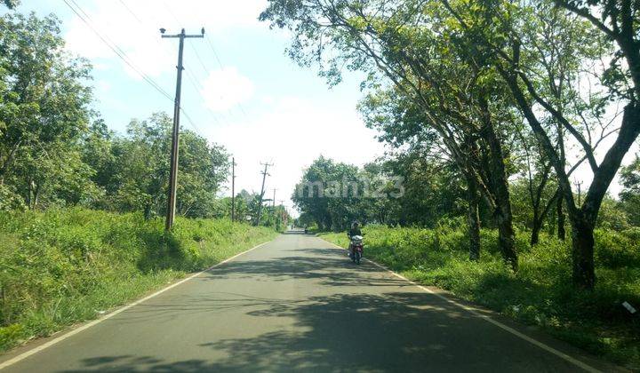 Tanah Murah Rumpin 900 Ribu am m2 Dekat Pasar Gobang 2