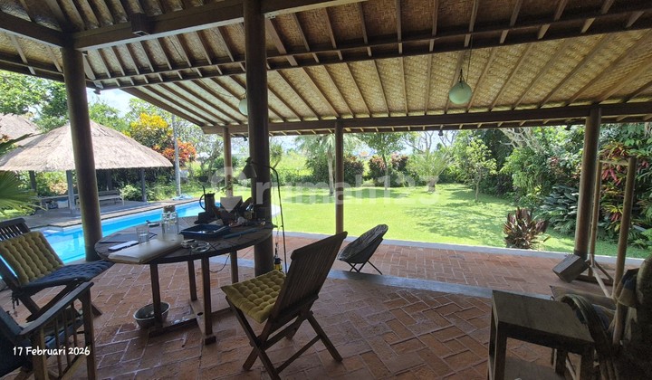 For Sale Land Area 16.6 Are, Bonus Cottage House & Swimming Pool For Sale Land Area 16.6 Are, Bonus Cottage House & Swimming Pool