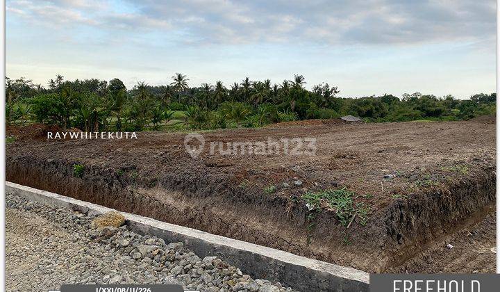 Land For Sale Behind Ciputra Resort, Tabanan 1