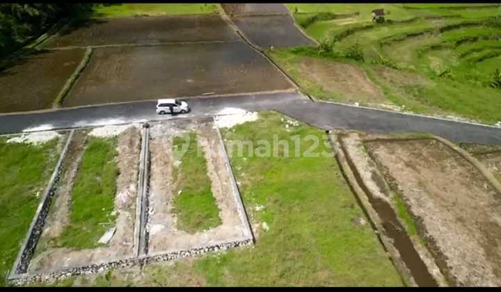 Tanah View Sawah di Semana Ubud Dekat Sungai Ayung Tanah View Sawah di Semana Ubud Dekat Sungai Ayung