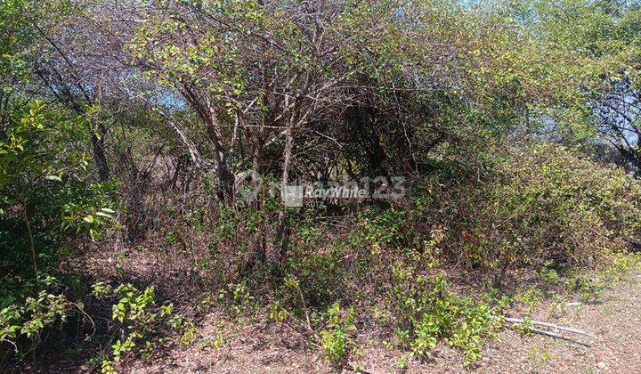 Land For Sale In Goa Gong Ungasan, Badung 2