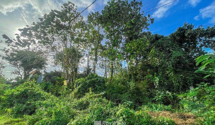 Residential Zone Land For Sale In Jimbaran, Badung 2