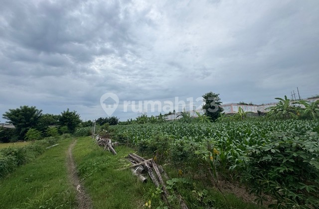 Land For Lease In Padang Galak Ocean View