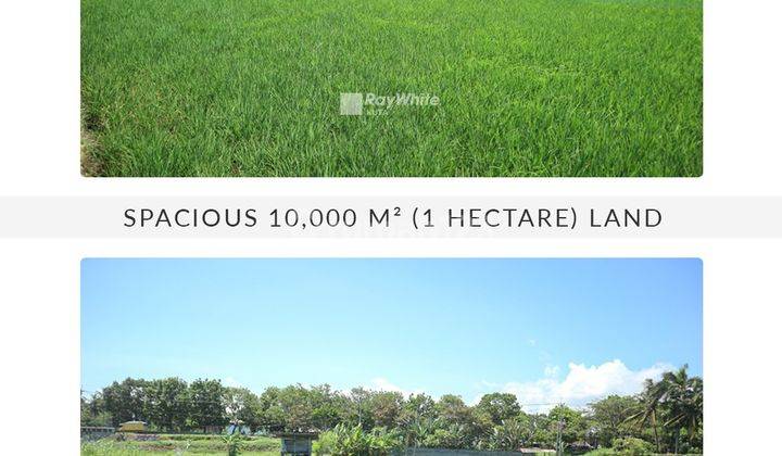 Land For Sale In Pantai Lebih, Gianyar 2