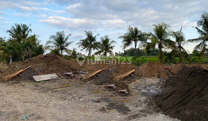 Land For Sale Behind Ciputra Resort, Tabanan 2