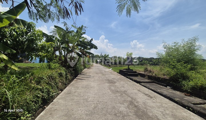 Tanah dijual dekat Pantai Keramas, Gianyar