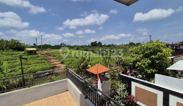 For Sale Villa with Rice Field View – Tiying Tutul, Pererenan, Canggu