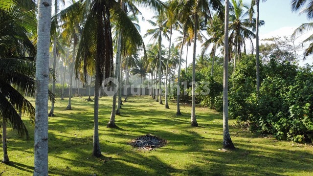 Exclusive Beachfront at Pengeragoan Beach Between Medewi & Balian