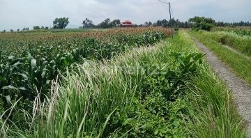 FOR SALE – LAND NEAR THE BEACH IN SALEMADEG, TABANAN