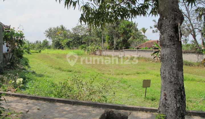 Tanah Hak Milik di Jalan Utama Tanah Lot Dijual Tanah Hak Milik di Jalan Utama Tanah Lot Dijual