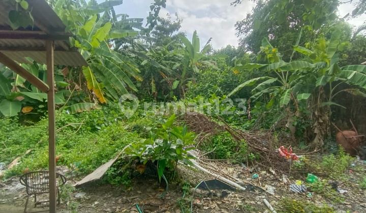 Premium Land For Sale In Seminyak In Yellow Zone