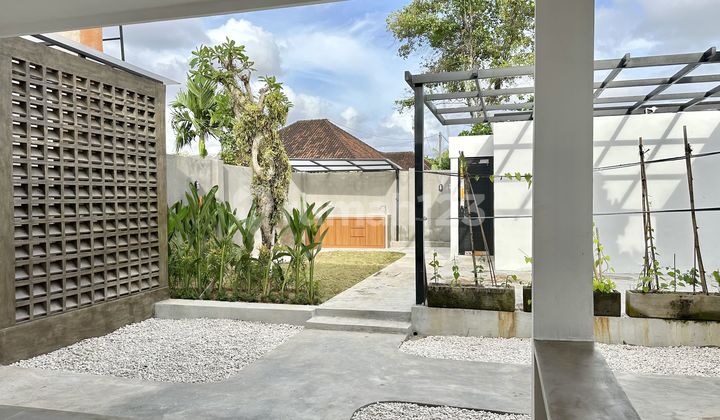 For Rent - Newly Renovated Modern Balinese House In Kerobokan 2
