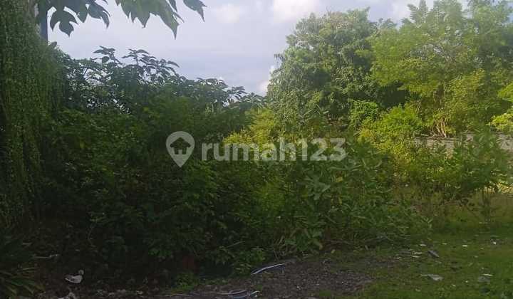 Plot of Land in Kampial Dharmawangsa for Sale Plot of Land in Kampial Dharmawangsa for Sale