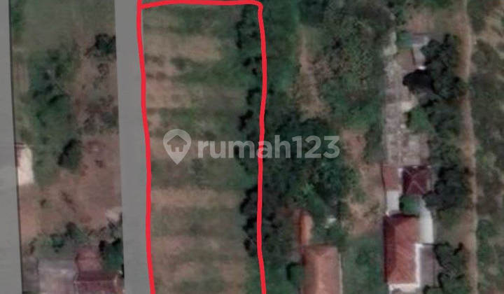 Tanah Kebonagung Mojokerto Posisi Pojok Berbentuk Kotak 6