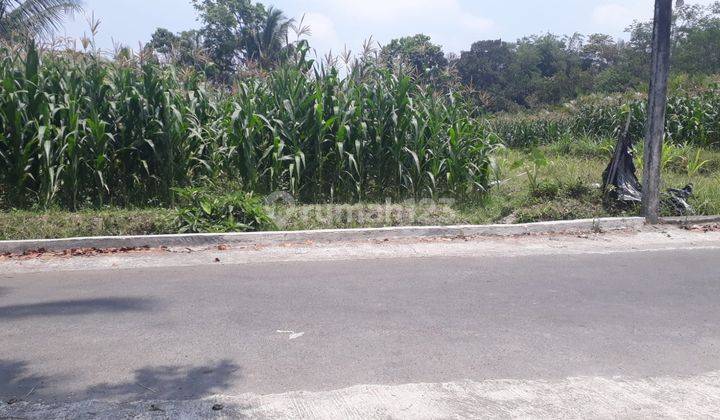 Dijual Murah Tanah Sawah Utara Pemda Sleman  1