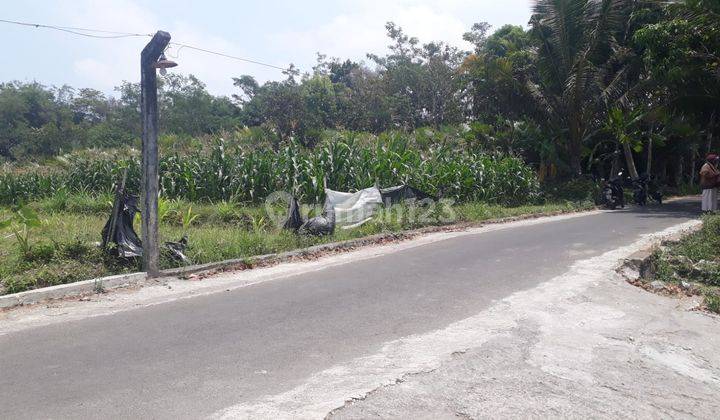 Dijual Murah Tanah Sawah Utara Pemda Sleman  2