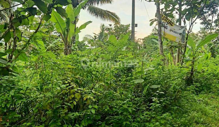 Dijual Tanah Pekarangan 1