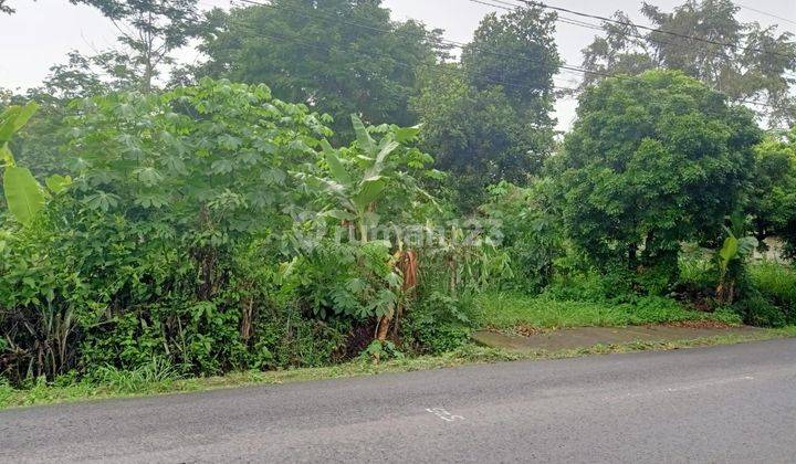 Di jual tanah pinggir jln utara pasar saren,cocok utk perumahan dan tmpat usaha lainnya.jalur wisata 1