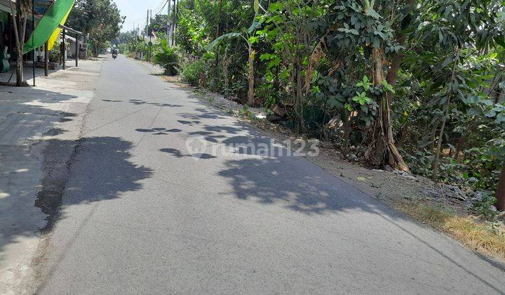 Tanah Murah Dekat Kampus Umy Bantul Yogyakarta 2