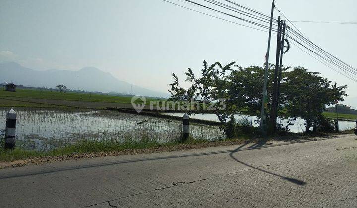 Jual Tanah di Jaln Raya Sapan dekat Statiun Kereta Api Cepat 1