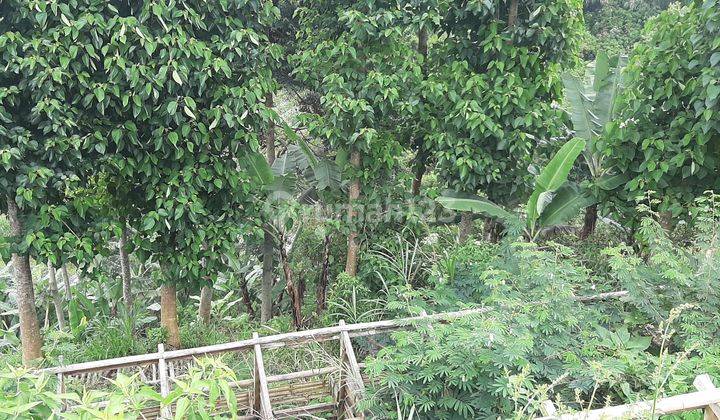 Tanah 1000 m²,Lokasi Lembang blk Sesko AU,View Bandung 5