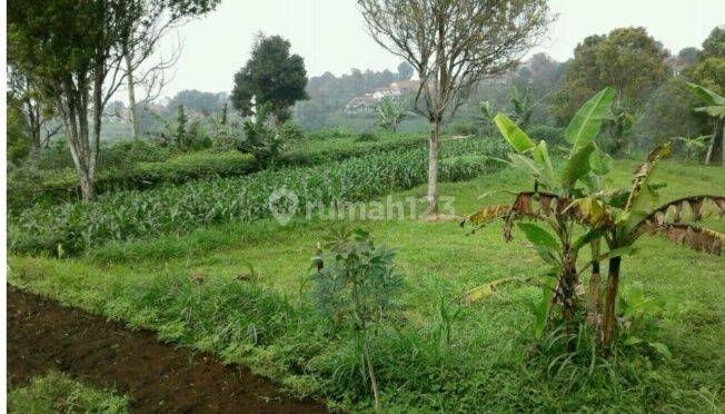 Tanah di Cisarua Bandung Utara,Lahan Luas,SHM 3