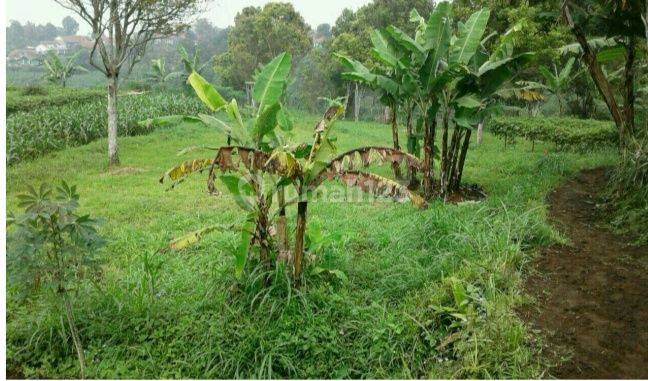 Tanah di Cisarua Bandung Utara,Lahan Luas,SHM 4