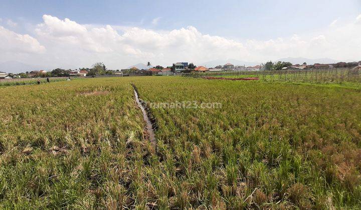 Strategis Tanah dkt Pintu Tol Cigatas di Jalan Anyar Majalaya,utk Gudang,Cluster 1