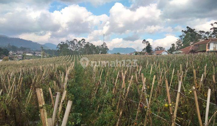 Tanah Dijual Di Pangalengan Kawasan Pertanian Udara Pegunungan 2