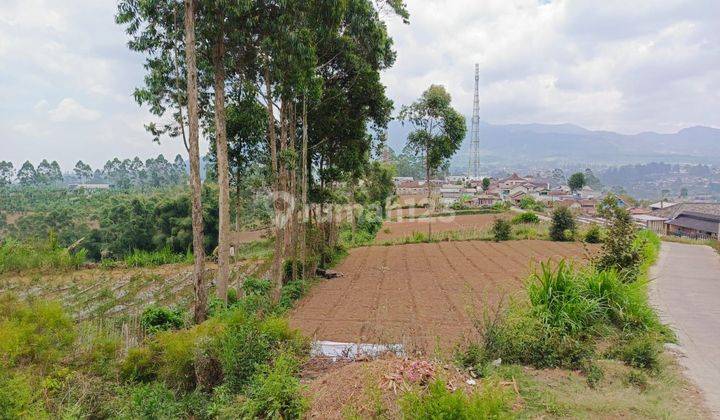 Tanah 6 hectare Di Pangalengan 2km Ke Alun2 Pangalengan 1