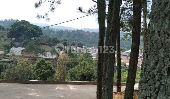 Tanah di Dago View Bukit Cocok untuk Villa atau Tinggal Tanah di Dago View Bukit Cocok untuk Villa atau Tinggal