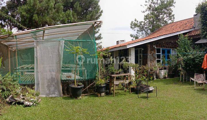 Rumah SHM Butuh Renovasi di Maribaya Lembang 1