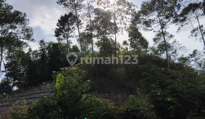 Tanah di Curug Cinulang, Tanjungwangi, Cicalengka, Bandung, Jawa Barat, Indonesia, 40395, Cicalengka