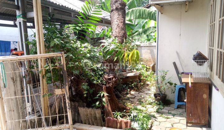 Rumah Tua Hitung Tanah di Kawasan Komplek Pasar Minggu Jaksel 2